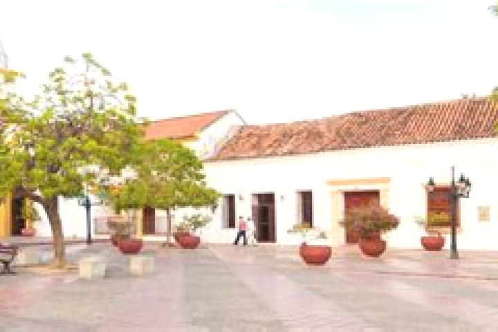 Olivia, 35 — Escort in San Juan del Cesar, Colombia