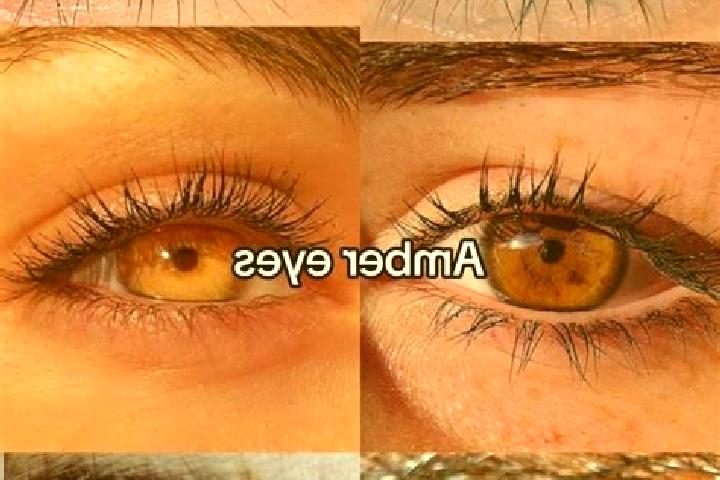 Olivia, 36, a chestnut amber-eyed indian companion based in Yuzawa. Offering Domination, A-Level, Prostate Massage, Deep French Kissing. Available for incall...