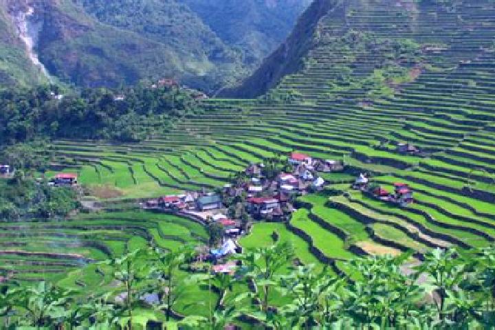 Olivia, 36 — Escort in Batad, Philippines