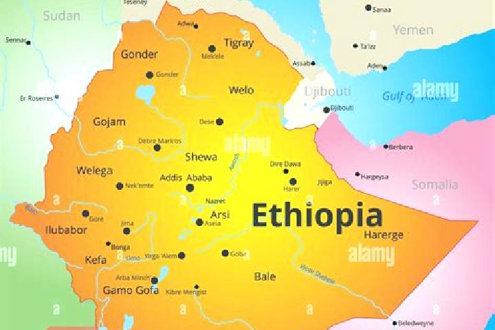 Olivia, 36 — Escort in Kebri Dahar, Ethiopia