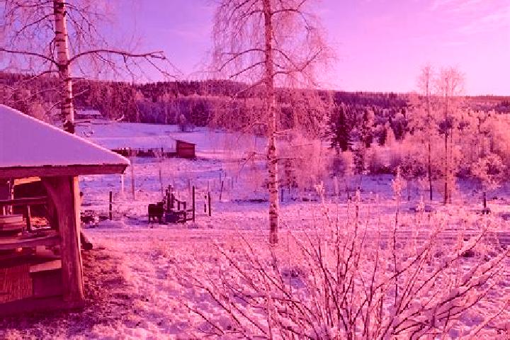 Olivia, 36 — Escort in Kemijaervi, Finland