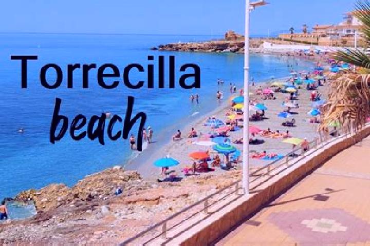Olivia, 36 — Escort in Torrecilla de la Abadesa, Spain
