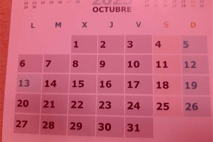 Olivia, 37 — Escort in 31 de Octubre, Mexico