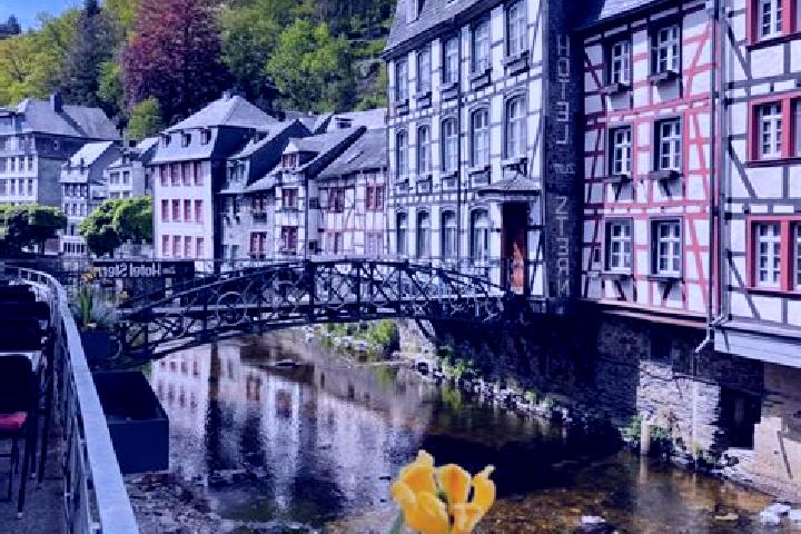 Olivia, 37 — Escort in Bodenbach, Germany