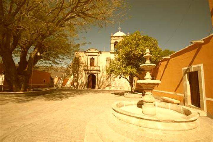 Olivia, 37 — Escort in Mezquitic de la Magdalena, Mexico