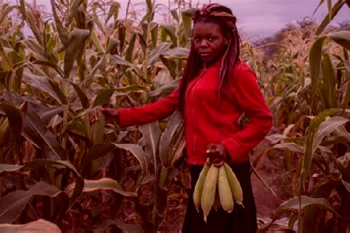 Olivia, 37 — Escort in Molo, Kenya
