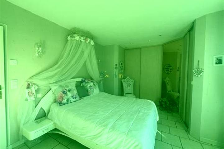 Olivia, 37 — Escort in Raillencourt-Sainte-Olle, France