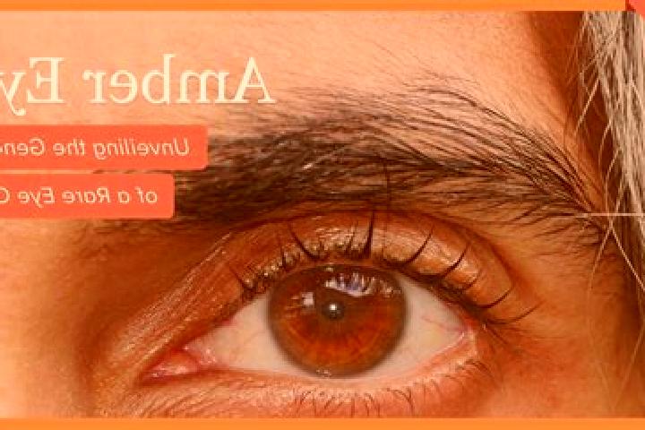 Olivia, 38, a black amber-eyed mediterranean companion based in Hedemora. Offering Dinner Date, A-Level, Party Girl. Available for incall and outcall, day an...