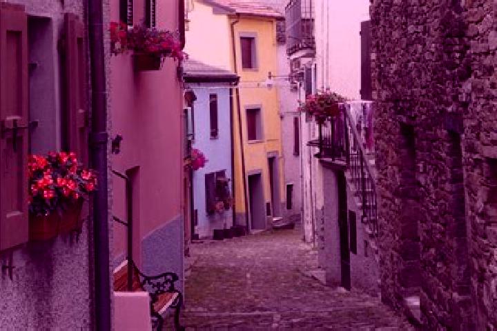 Olivia, 38 — Escort in Berceto, Italy