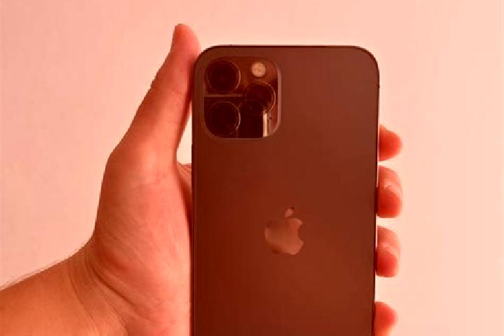 Olivia, 38 — Escort in Brinkmann, Argentina