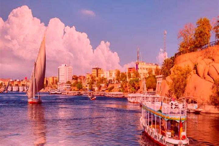 Olivia, 38 — Escort in Damanhur, Egypt