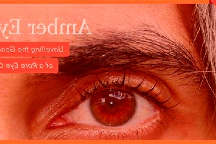 Olivia, 39, a black amber-eyed indian companion based in Amparo Agua Tinta. Offering Domination, 69, Travel Companion, GFE. Available for incall and outcall,...