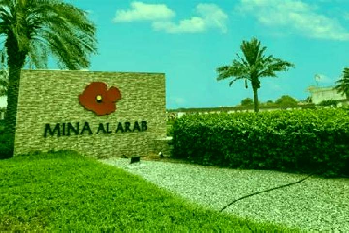 Olivia, 39 — Escort in Al Rashaydeh, Palestine