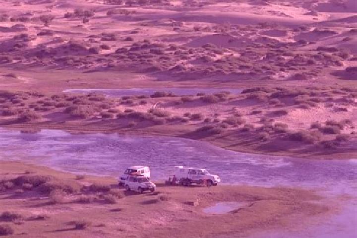 Olivia, 39 — Escort in Badrah, Mongolia