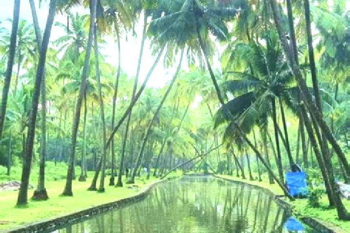 Olivia, 39 — Escort in Kunnamkulam, India