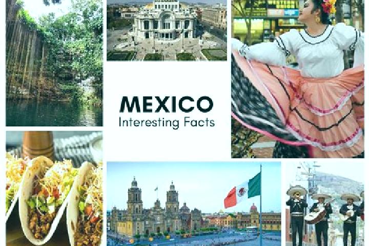 Olivia, 39 — Escort in Piedra Parada, Mexico