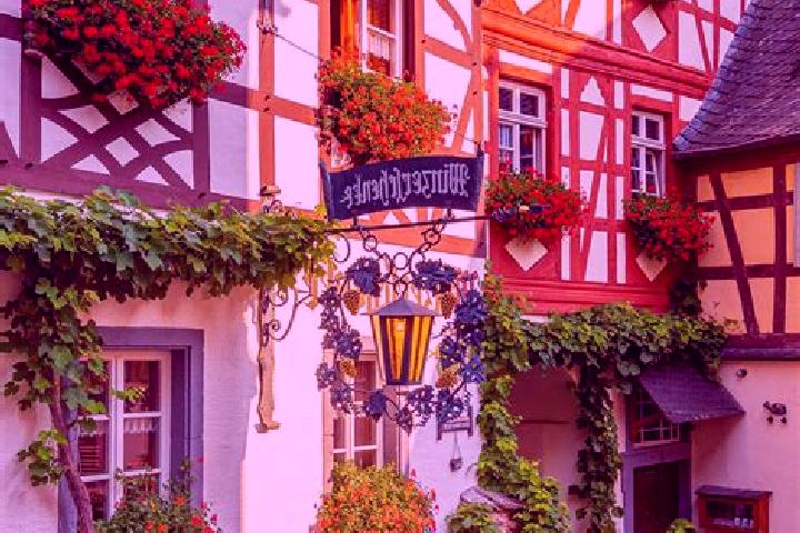 Olivia, 39 — Escort in Plate, Germany