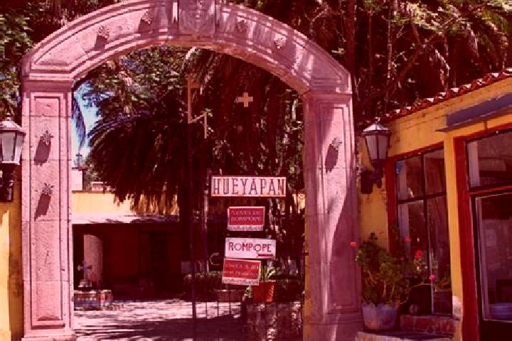 Olivia, 39 — Escort in San Juan Hueyapan, Mexico