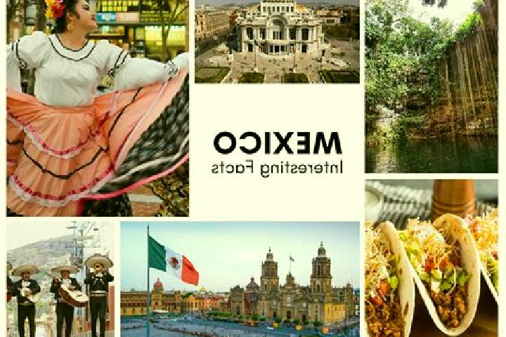 Olivia, 39 — Escort in Tepusco, Mexico