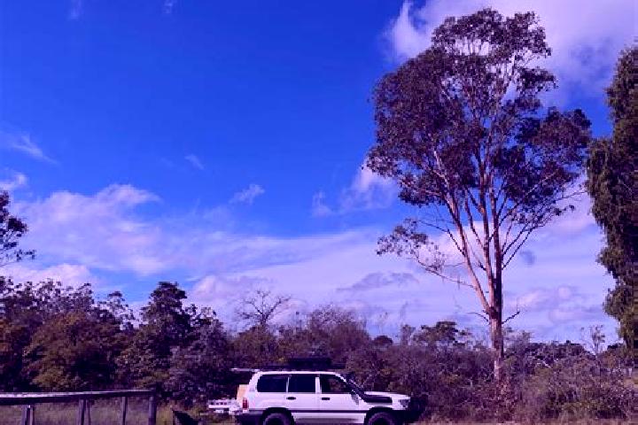 Olivia, 39 — Escort in Wedderburn, Australia