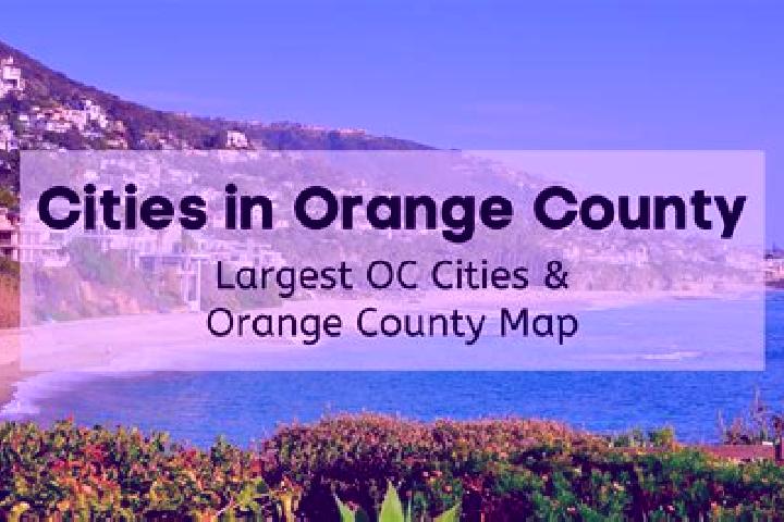 Olivia, 39 — Escort in West Orange, United States