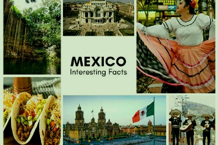 Olivia, 39 — Escort in Zoyatitla, Mexico