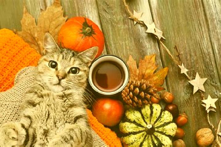 Penelope, 20 — Escort in Cat, Turkey