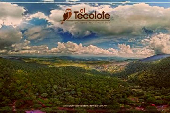 Penelope, 20 — Escort in El Tecolote, Mexico