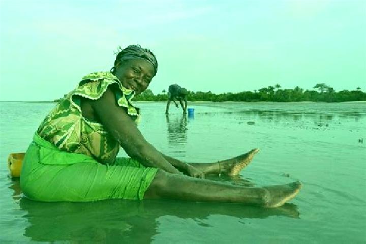 Penelope, 20 — Escort in Jambanjali, Gambia