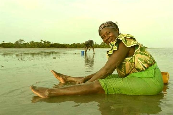 Penelope, 21 — Escort in Albadarr, Gambia