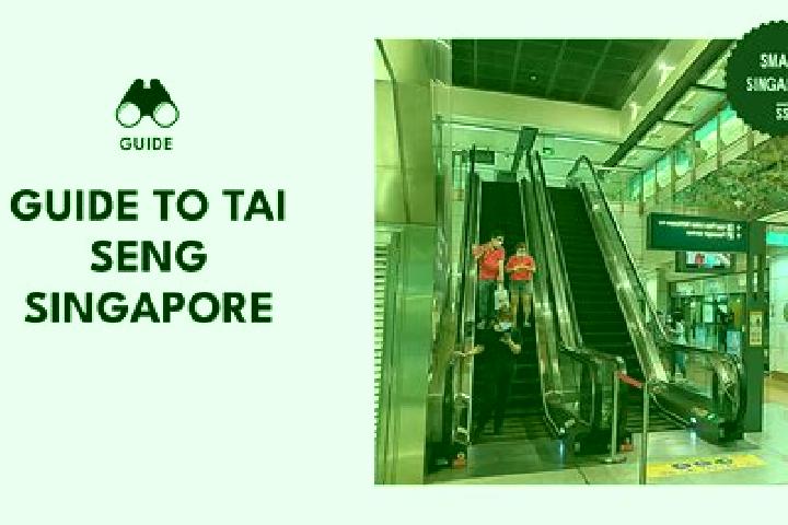 Penelope, 21 — Escort in Tai Seng, Singapore