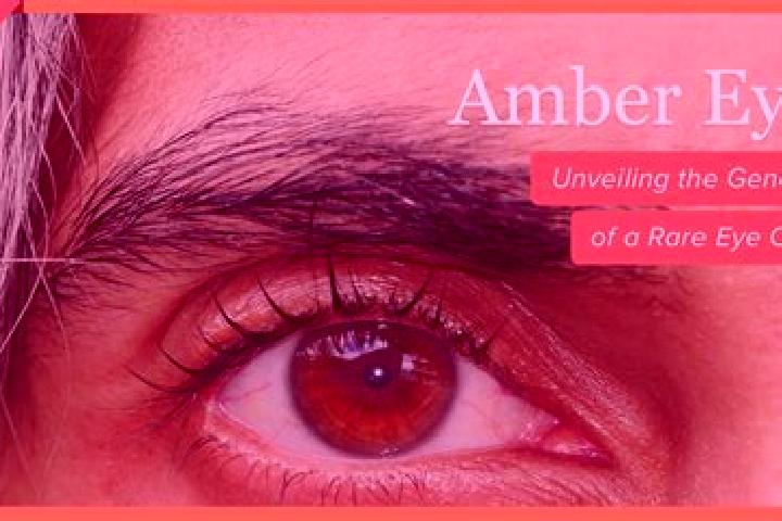 Penelope, 22, a red amber-eyed latina companion based in Puerto Alegria. Offering Party Girl, Massage, Duos. Available for incall and outcall, day and evenin...