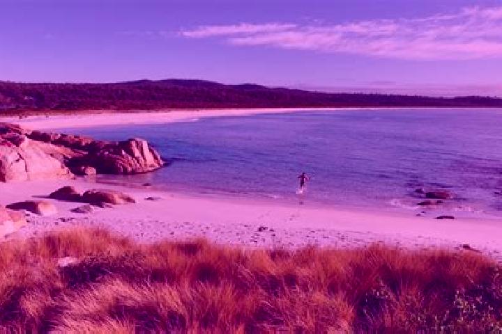 Penelope, 22 — Escort in Corlette, Australia