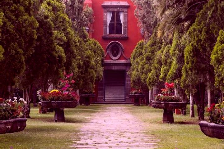 Penelope, 22 — Escort in Fraccionamiento Mision de San Javier, Mexico