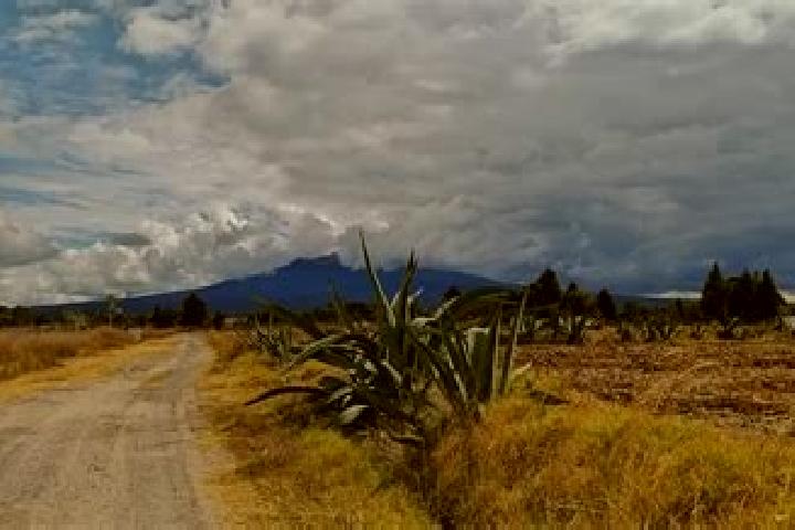 Penelope, 22 — Escort in La Magdalena Tlaltelulco, Mexico
