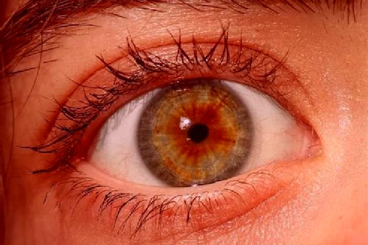 Penelope, 23, a red hazel-eyed middle eastern companion based in Brusimpiano. Offering Striptease, 69, Prostate Massage, CIM. Available for incall and outcal...