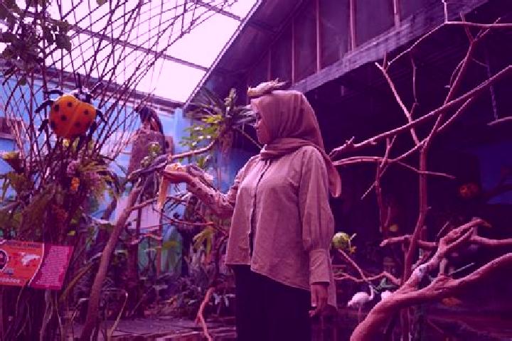Penelope, 24 — Escort in Jurgang Timur, Indonesia