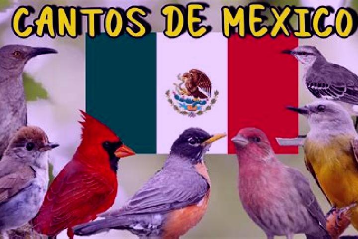 Penelope, 24 — Escort in Los Pajaros, Mexico