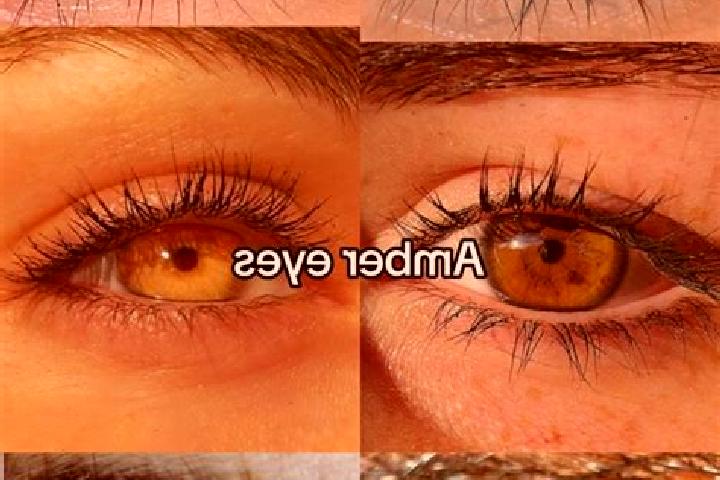 Penelope, 25, a dark blonde amber-eyed ebony companion based in Chabu. Offering GFE, Roleplay, Striptease. Available for incall and outcall, overnight bookin...