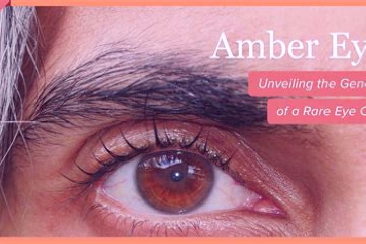 Penelope, 25, a red amber-eyed ebony companion based in Sandbach. Offering Fetish, Couples, Girlfriend Experience, Prostate Massage. Available for incall and...