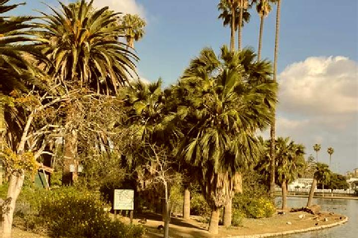 Penelope, 25 — Escort in Alondra Park, United States