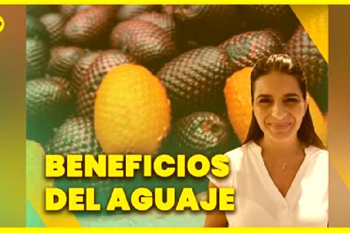 Penelope, 25 — Escort in Bonifacio Moreno (El Aguaje), Mexico
