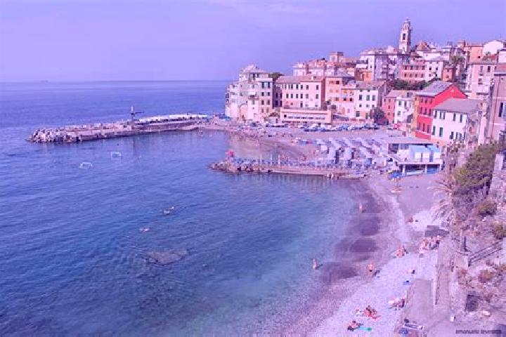 Penelope, 26 — Escort in Bogliasco, Italy