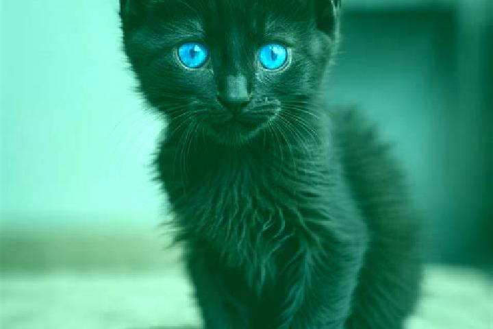 Penelope, 27, a black blue-eyed caribbean companion based in Estey s Bridge. Offering GFE, Duos, Overnight, 69, OWO. Available for incall and outcall, overni...