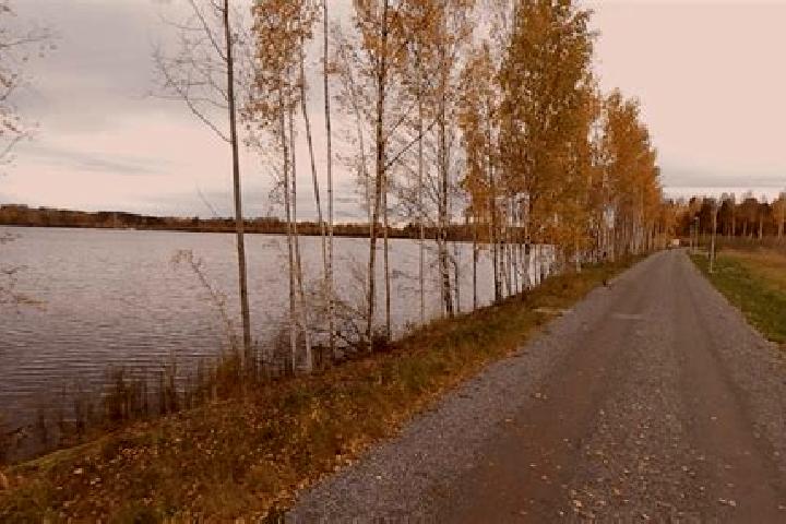 Penelope, 27 — Escort in Lentaevaenniemi, Finland