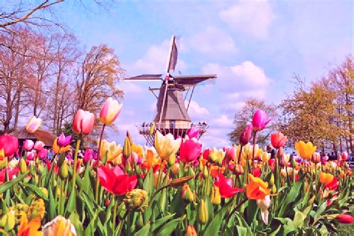 Penelope, 27 — Escort in Lisse, Netherlands