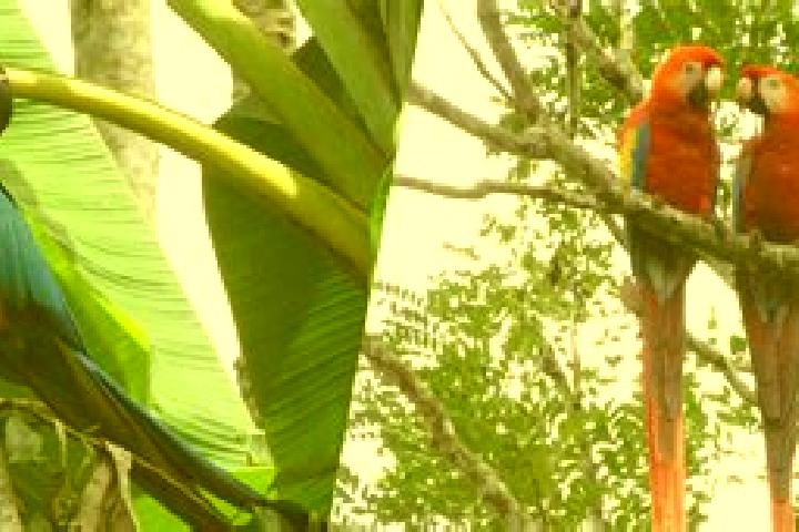 Penelope, 28 — Escort in Guacamayas, Colombia