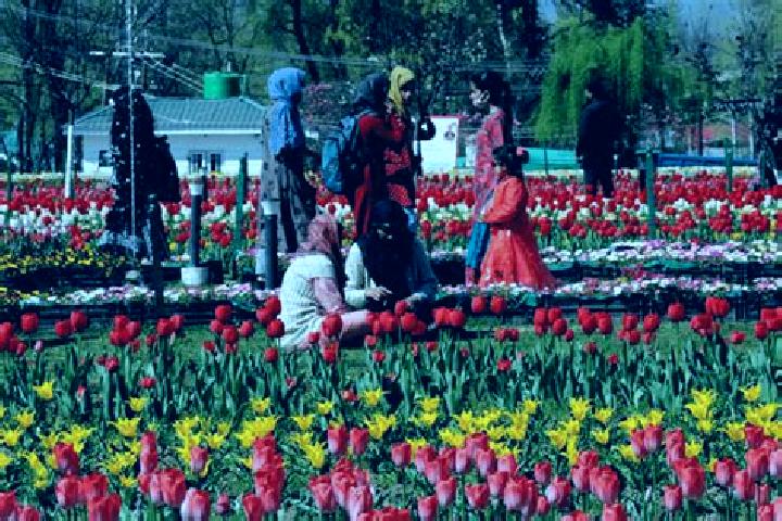 Penelope, 28 — Escort in Surkh Bilandi, Afghanistan