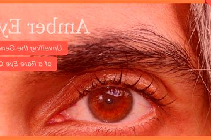 Penelope, 29, a black amber-eyed mixed companion based in Basse Santa Su. Offering Overnight, Striptease, Domination, GFE, 69. Available for incall and outca...