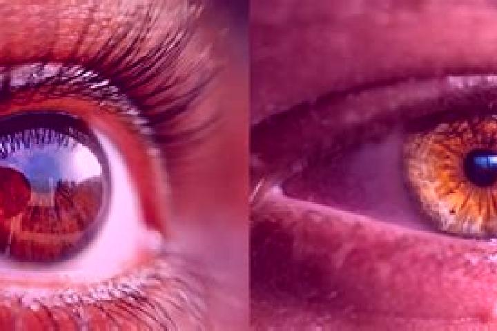 Penelope, 29, a red hazel-eyed mixed companion based in Medangdatar. Offering Deep French Kissing, OWO, CIM, Prostate Massage, Girlfriend Experience. Availab...